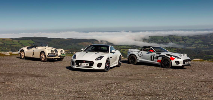 Jaguar F-Type підготовлений на класичне ралі