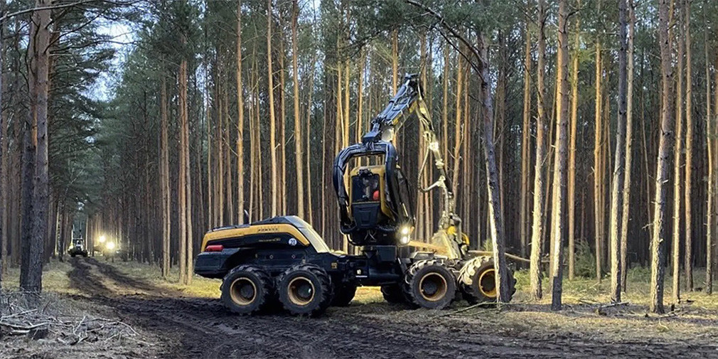 Tesla масово вирубує ліс у Німеччині для свого «зеленого» підприємства